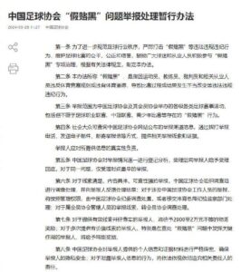 Read more about the article 中国足协出手针对假赌黑问题 举报最高奖励2万